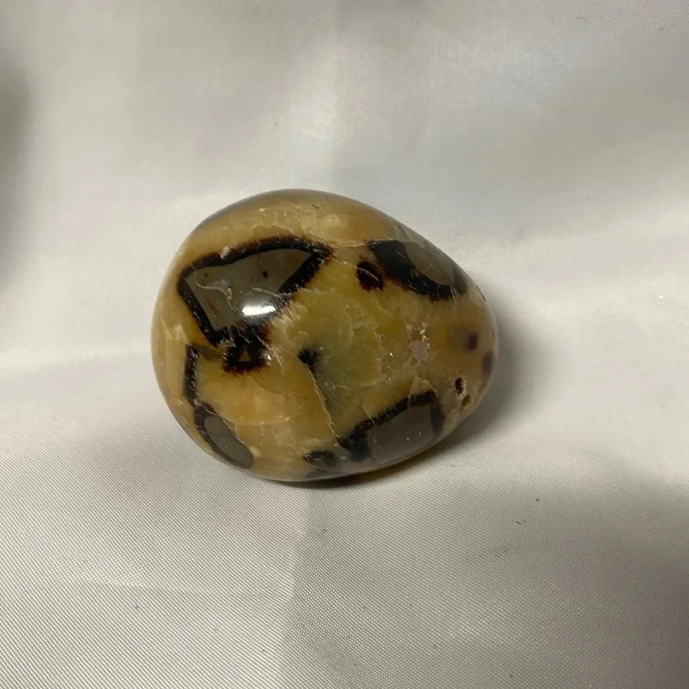 GORGEOUS Septarian Golden Geode Druzy Gemstone Crystal Mineral Dragon Egg
